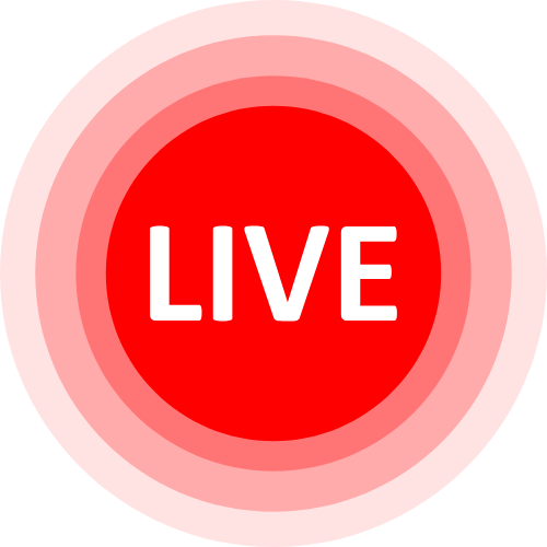 Live Sex Doll